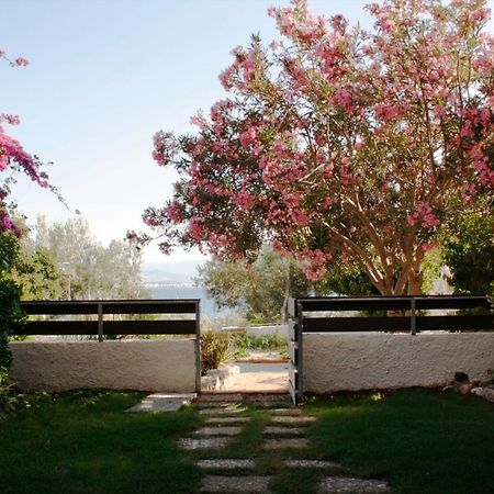 Beachfront Garden Apartment- Atlas Complex Loutráki Extérieur photo